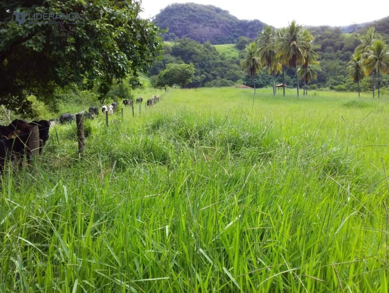 fazenda à venda no ZONA RURAL: 