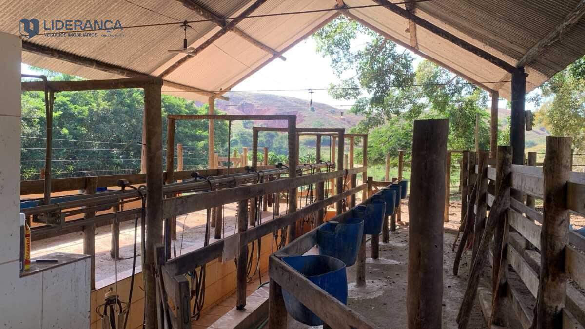 fazenda à venda no Roça: 