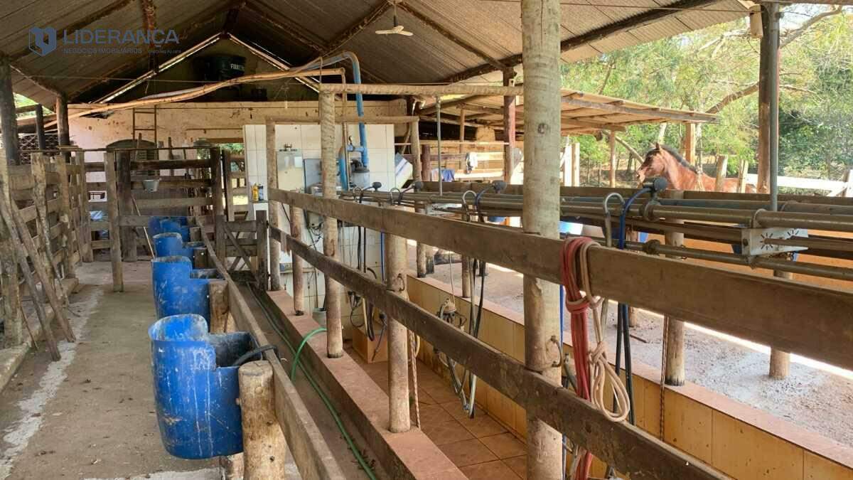 fazenda à venda no Roça: 