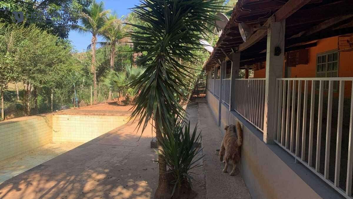 fazenda à venda no Roça: 