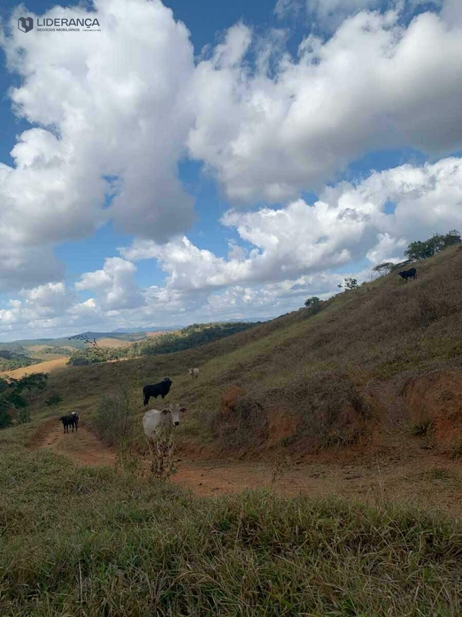 sítio à venda no ZONA RURAL: 