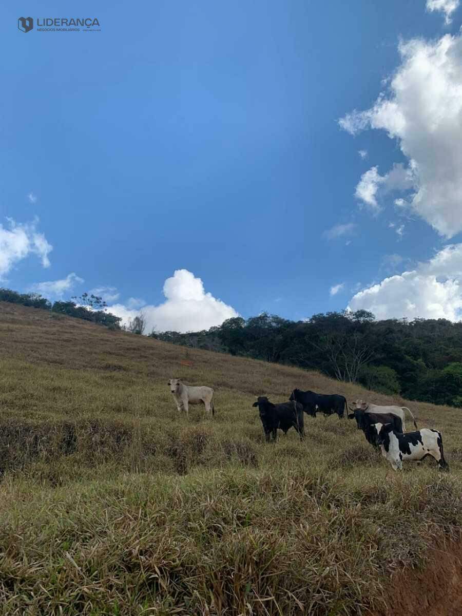 sítio à venda no ZONA RURAL: 