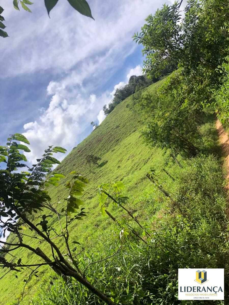 sítio à venda no São João do Jacutinga: 