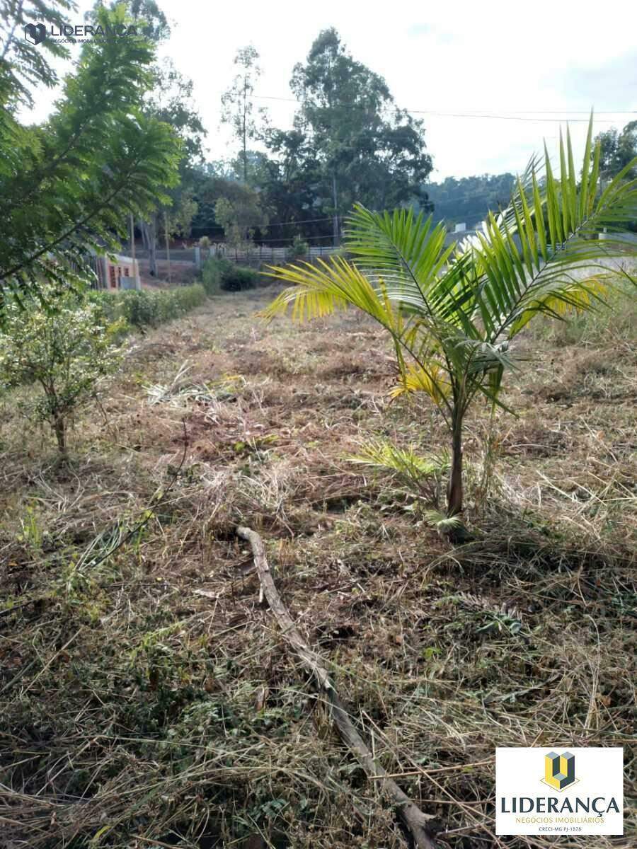 chácara à venda no Zona rural: 