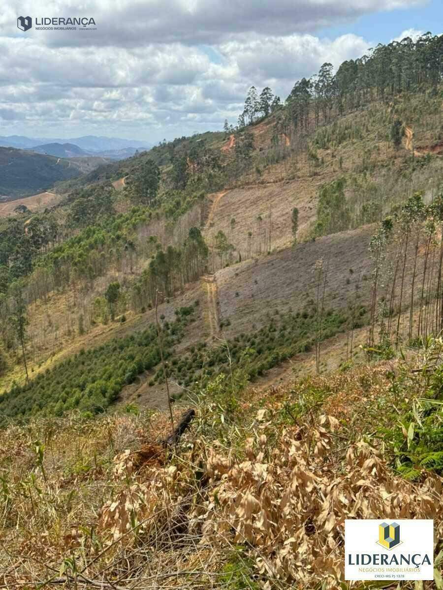 fazenda à venda no São José do Batatal: 
