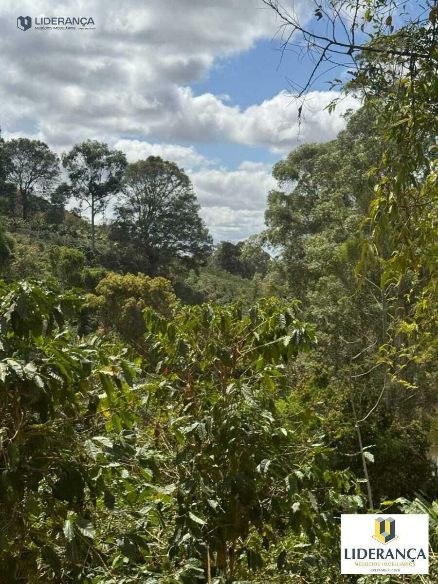 fazenda à venda no São José do Batatal: 