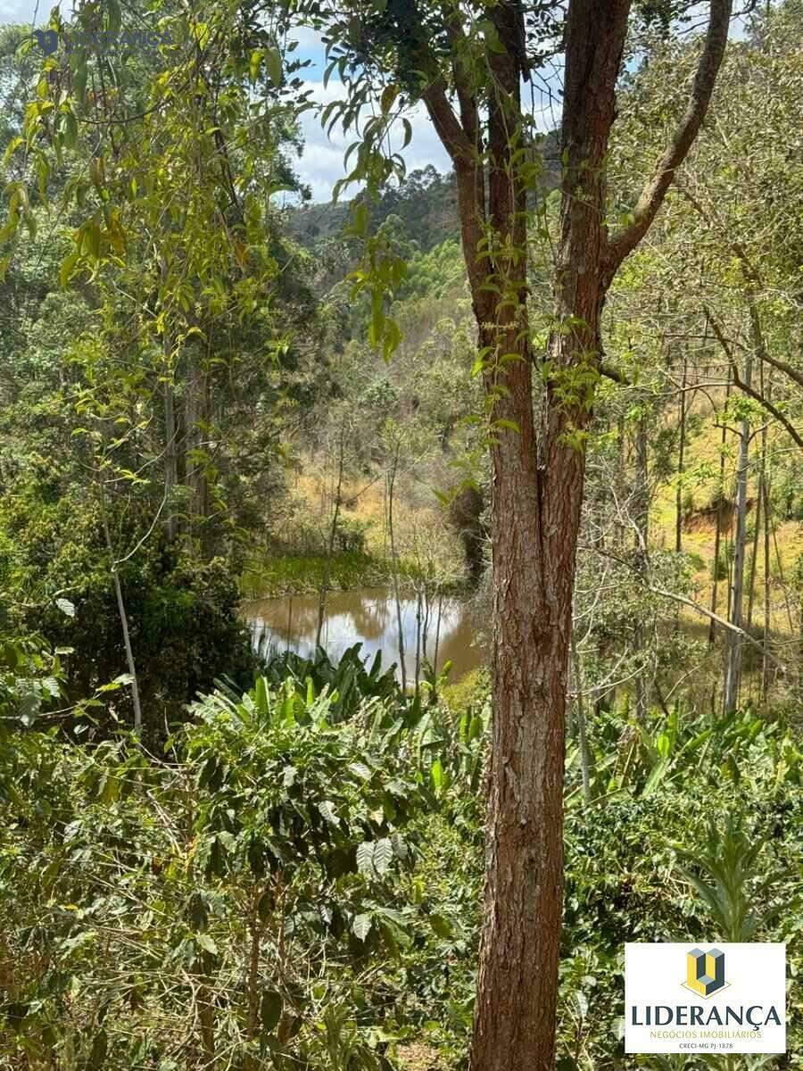 fazenda à venda no São José do Batatal: 