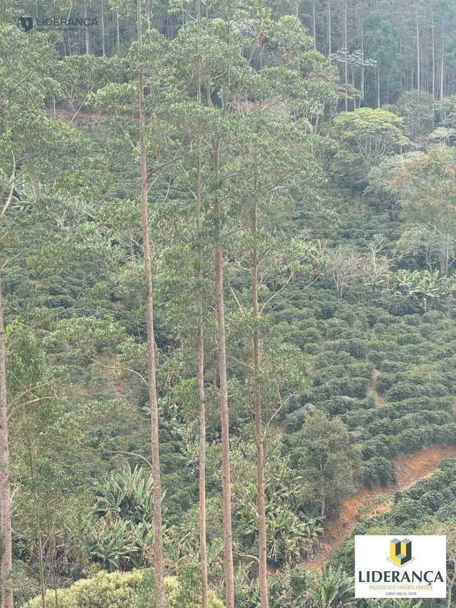 fazenda à venda no São José do Batatal: 