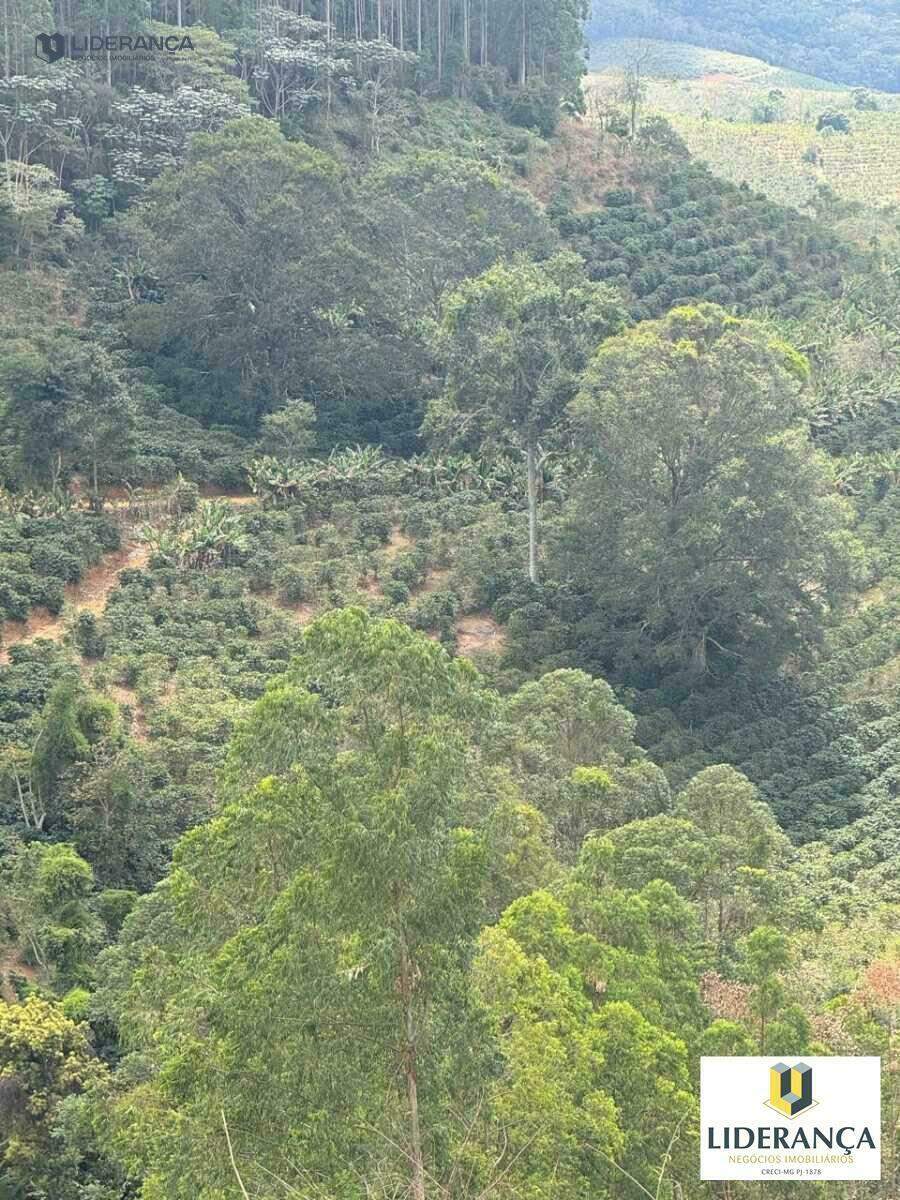 fazenda à venda no São José do Batatal: 
