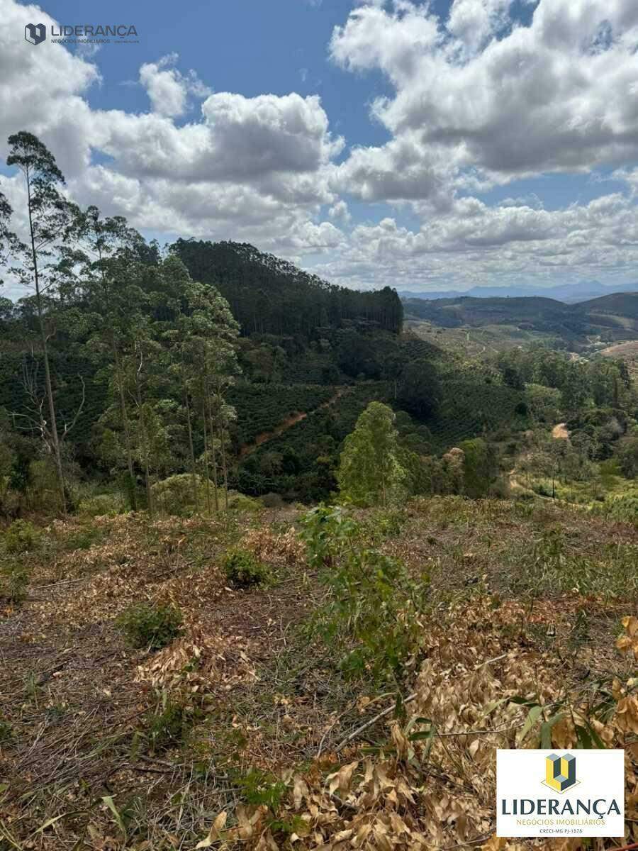 fazenda à venda no São José do Batatal: 