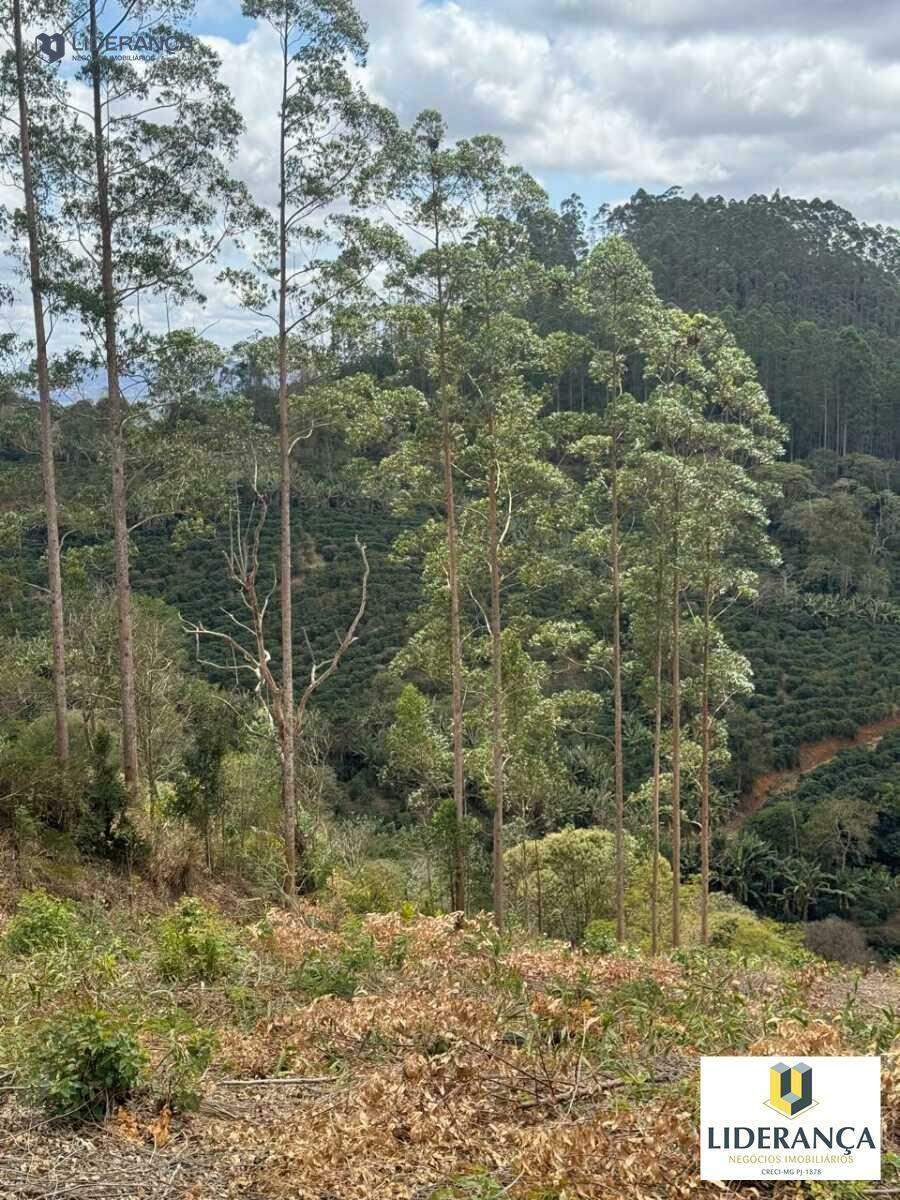 fazenda à venda no São José do Batatal: 