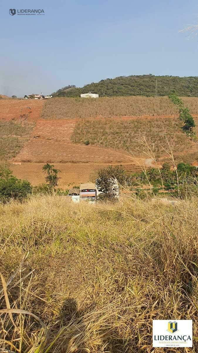 sítio à venda no Santa Efigênia: 