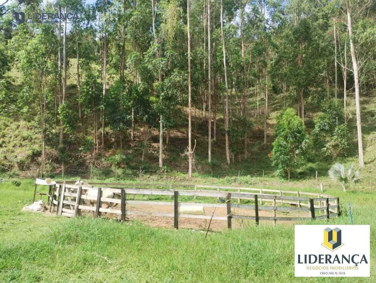 chácara à venda no ZONA RURAL: 