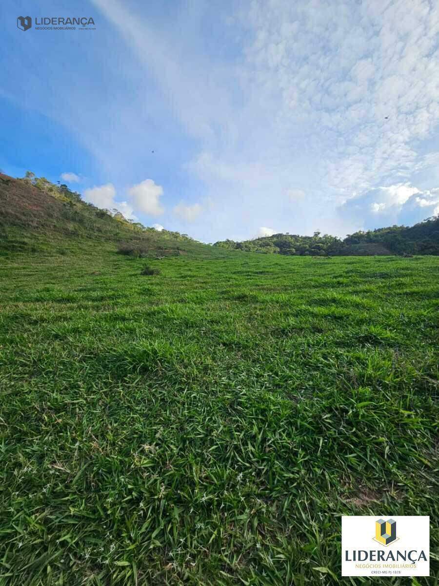 fazenda à venda no Corrego santo antonio: 