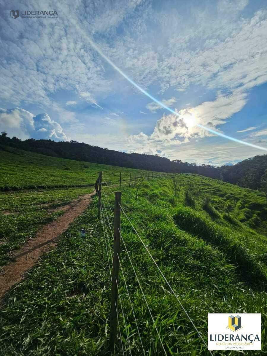 fazenda à venda no Corrego santo antonio: 