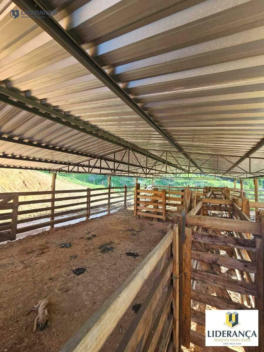 fazenda à venda no Corrego santo antonio: 