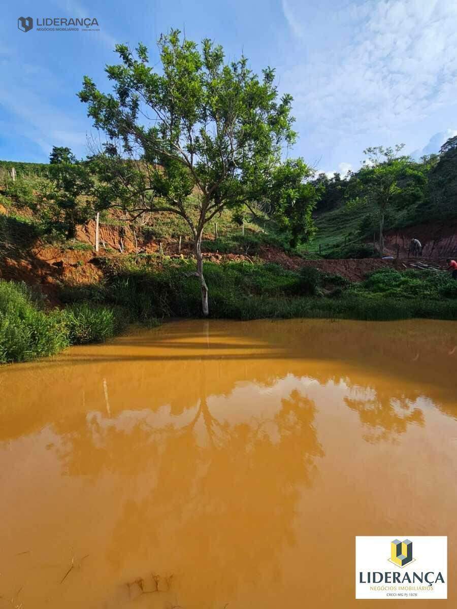 fazenda à venda no Corrego santo antonio: 