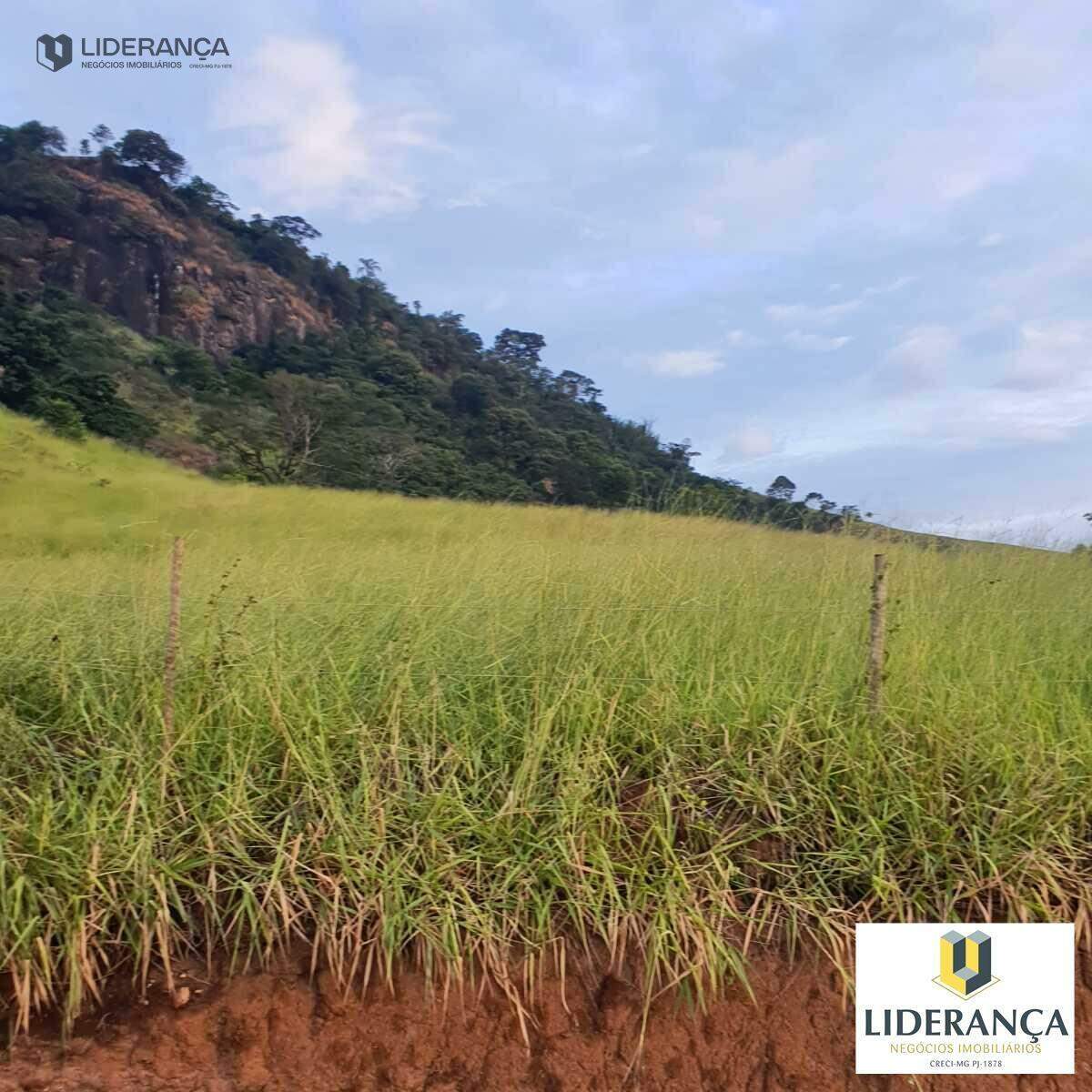 chácara à venda no Santa Rita: 