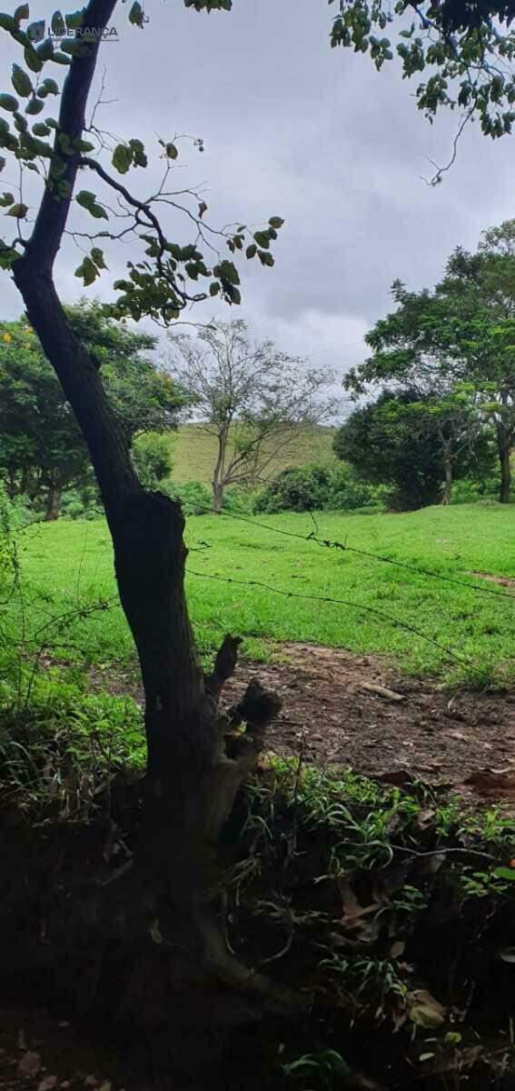 chácara à venda no Nossa Senhora das Graças: 