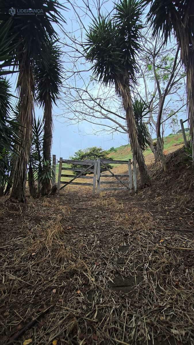 lote em condomínio à venda no Condominio Santa Ignacia: 