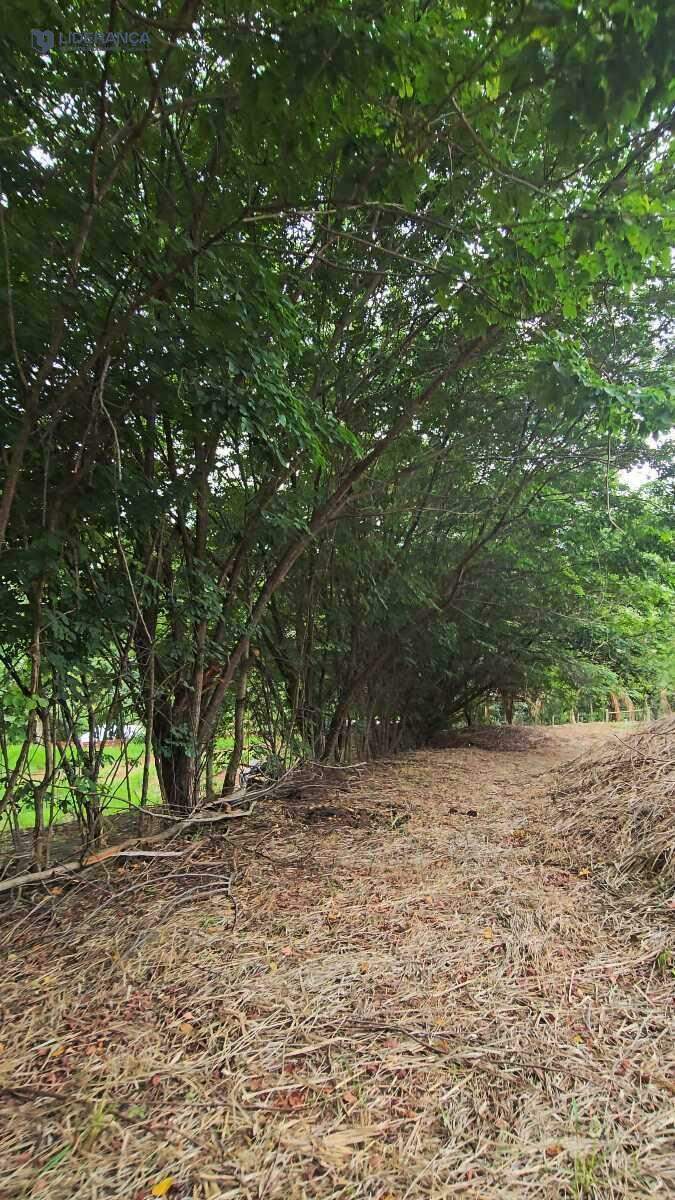 lote em condomínio à venda no Condominio Santa Ignacia: 