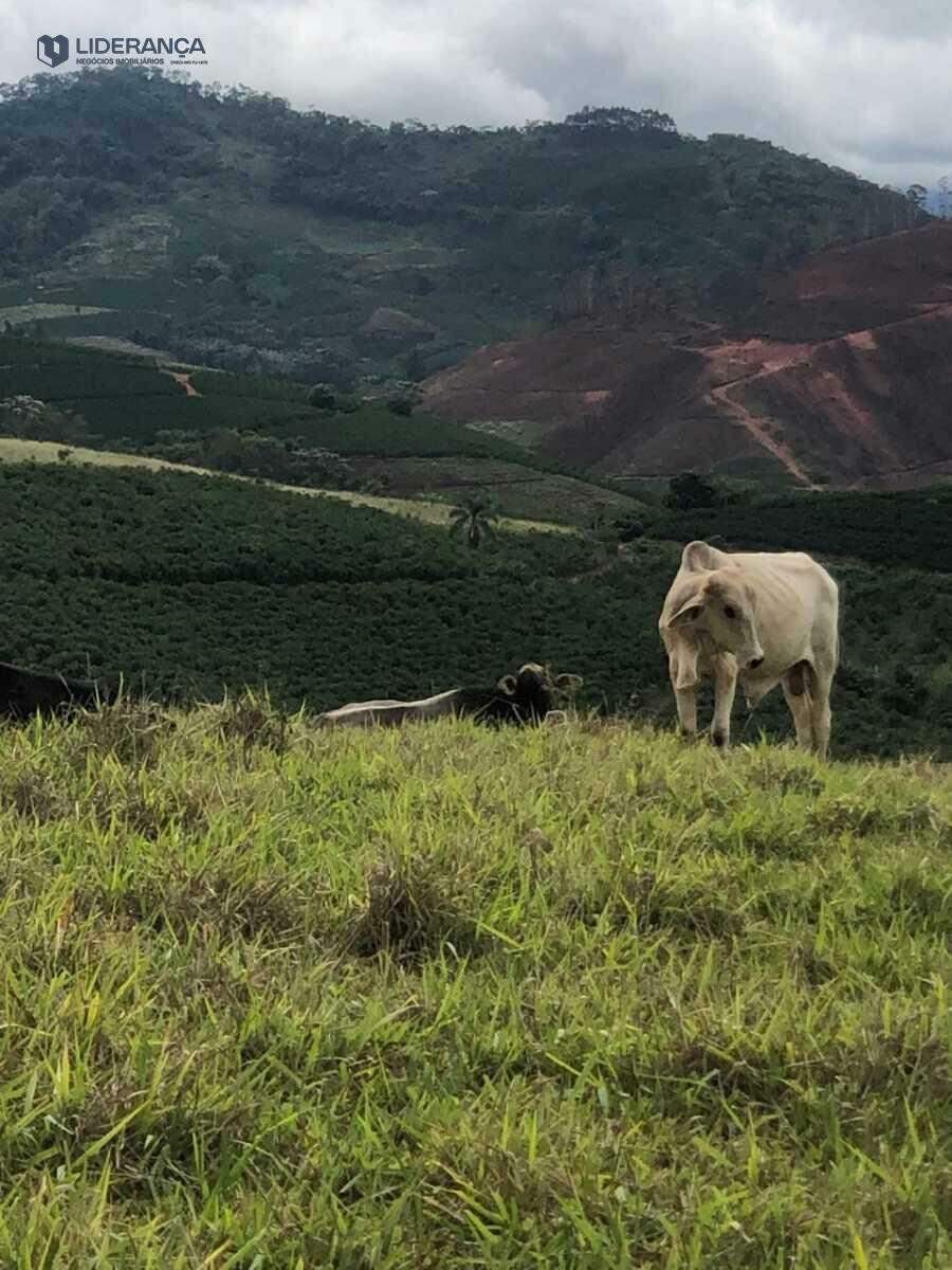 sítio à venda no ZONA RURAL: 