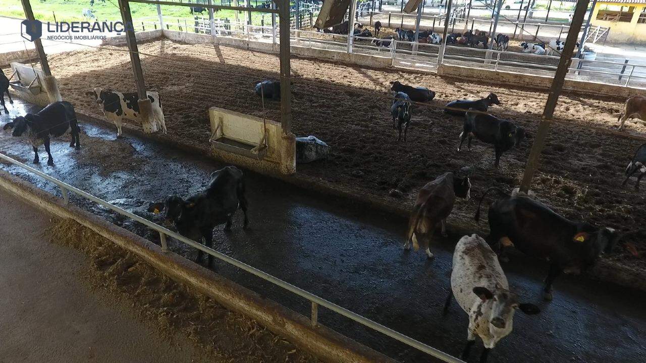 fazenda à venda no Sapucaia: 