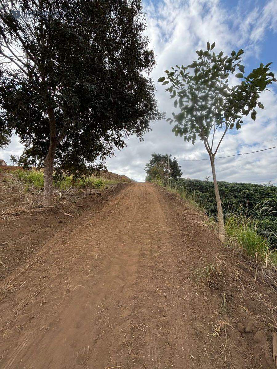 chácara à venda no Santa Luzia de Caratinga: 