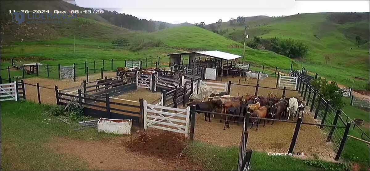 fazenda à venda no Santo Antônio do Manhuaçu: 