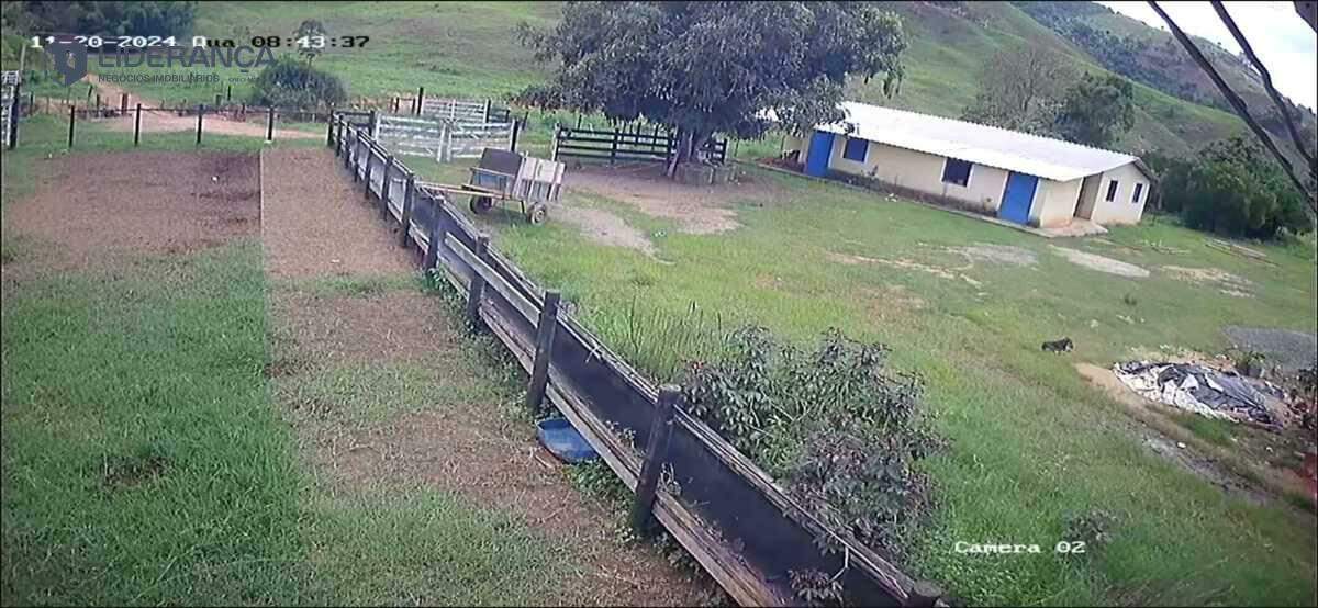 fazenda à venda no Santo Antônio do Manhuaçu: 