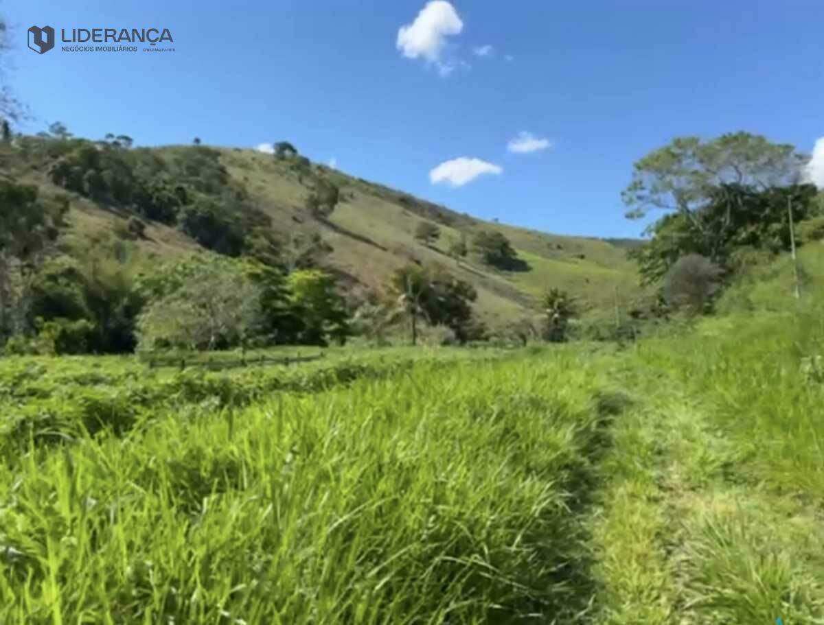 fazenda à venda no Santo Antônio do Manhuaçu: 