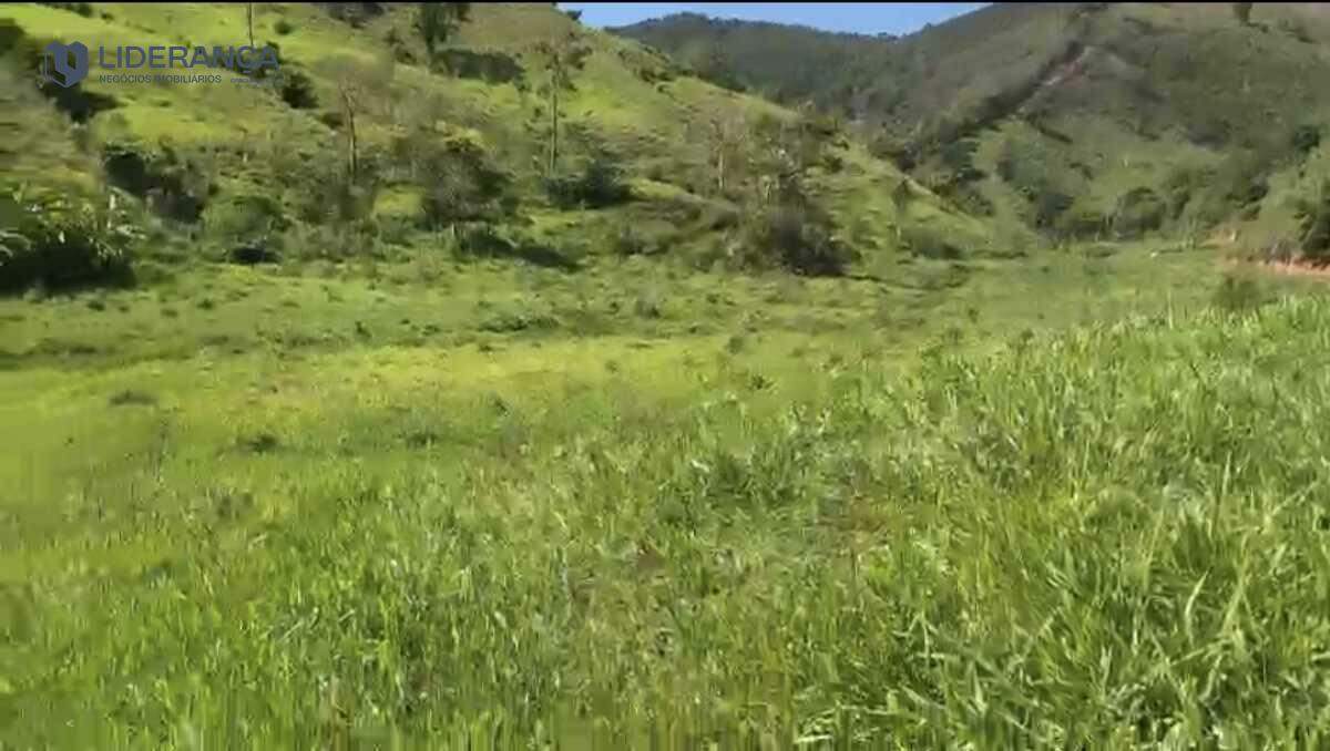 fazenda à venda no Santo Antônio do Manhuaçu: 