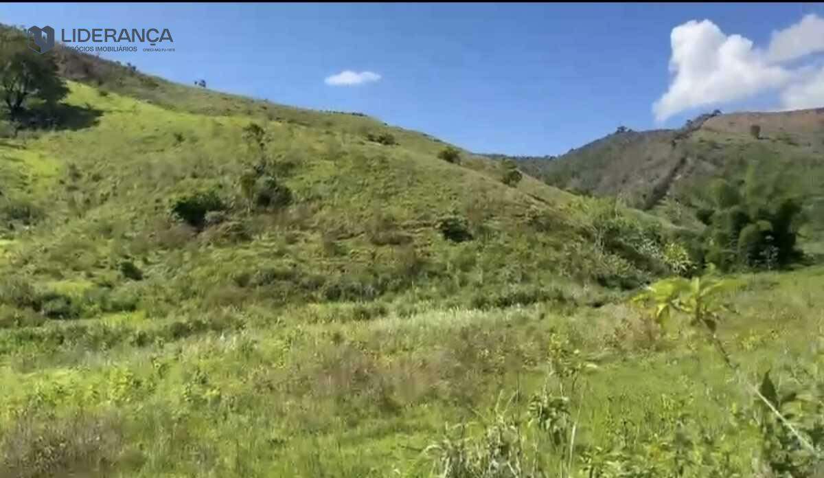 fazenda à venda no Santo Antônio do Manhuaçu: 