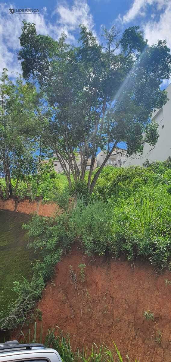 lote à venda no José Moyses Nacif: 