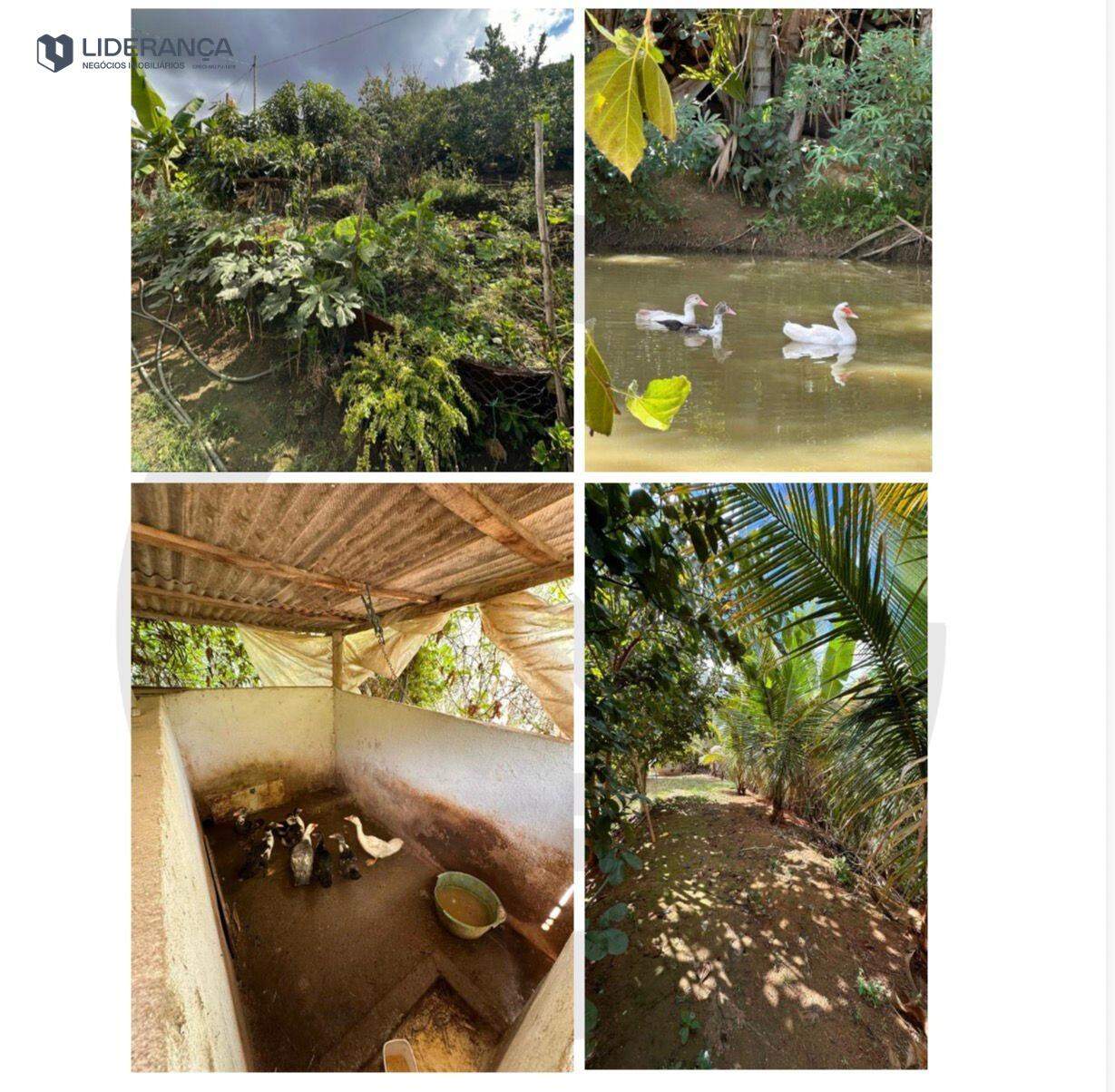 chácara à venda no ZONA RURAL: 