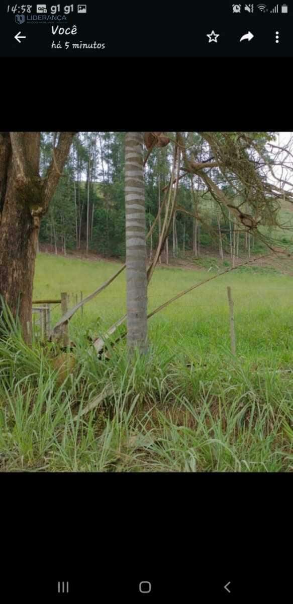 chácara à venda no Sapucaia: 