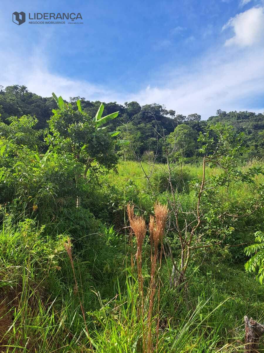 chácara à venda no Dom Modesto: 