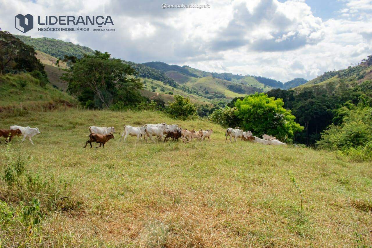 fazenda à venda no Zona Rural: 