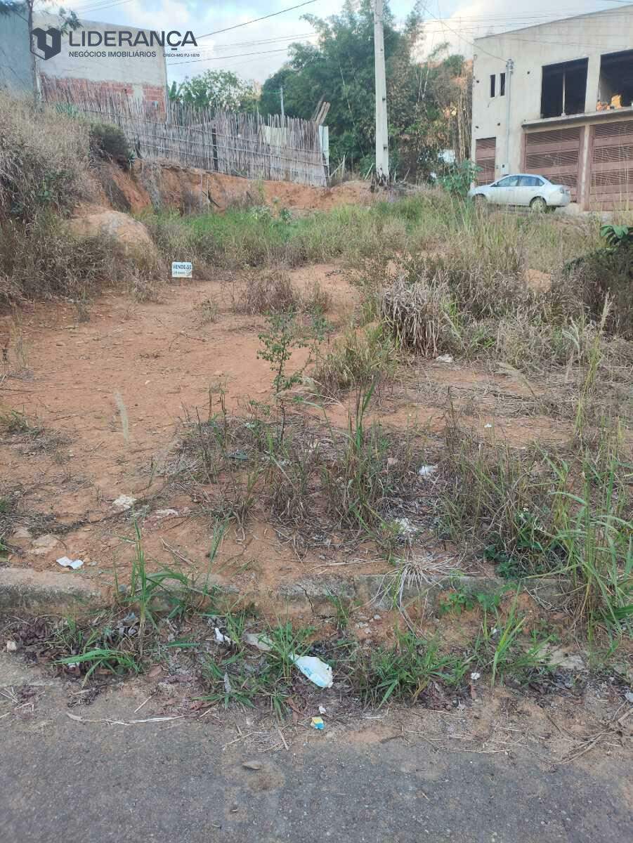 lote à venda no Loteamento Tãozinho Vilela: 