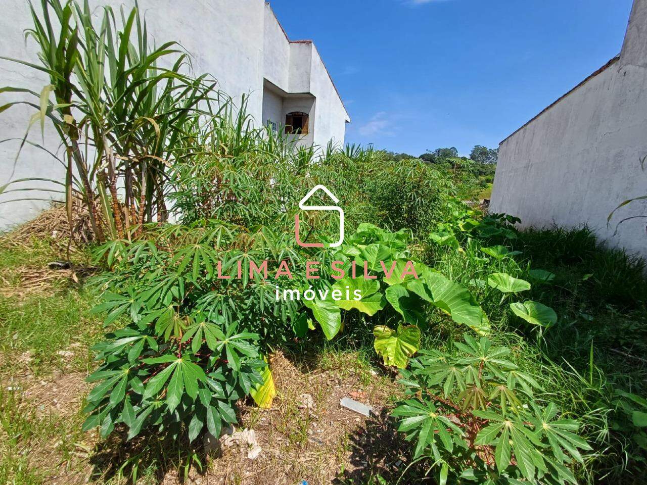 Terreno Comercial à venda no Cézar de Souza: 