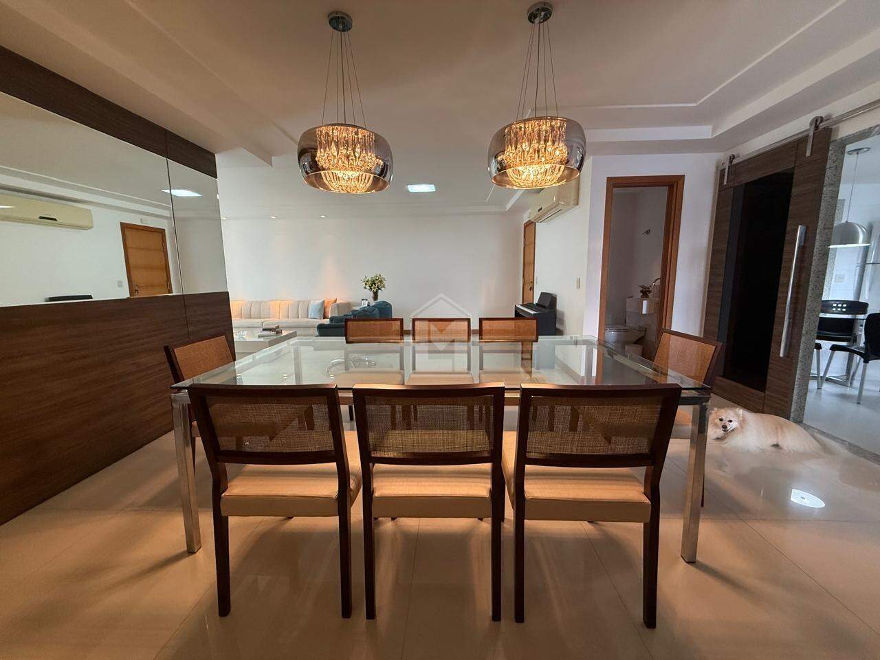 Apartamento, 4 quartos, 217 m² - Foto 6