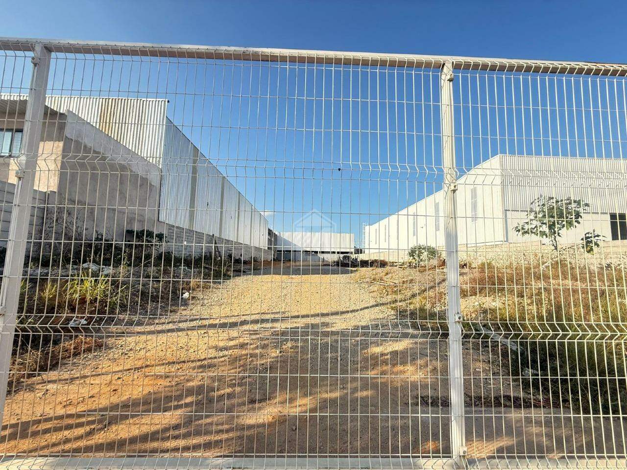 Depósito-Galpão, 2000 m² - Foto 3