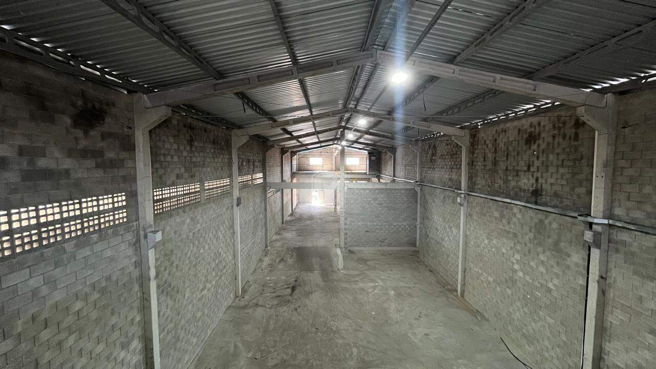 Depósito-Galpão, 800 m² - Foto 3
