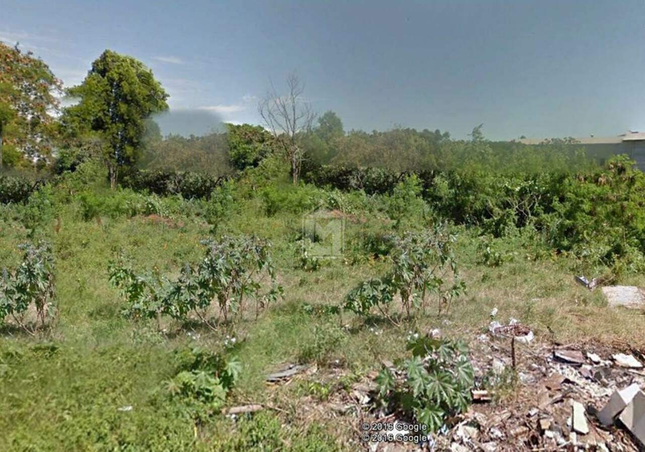 Terreno à venda, 3200m² - Foto 3