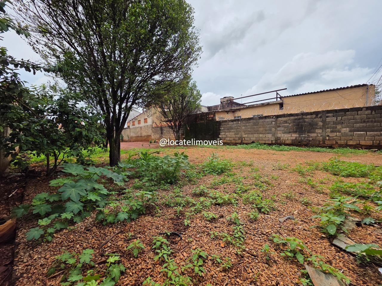 Lote para aluguel no Milionários: 