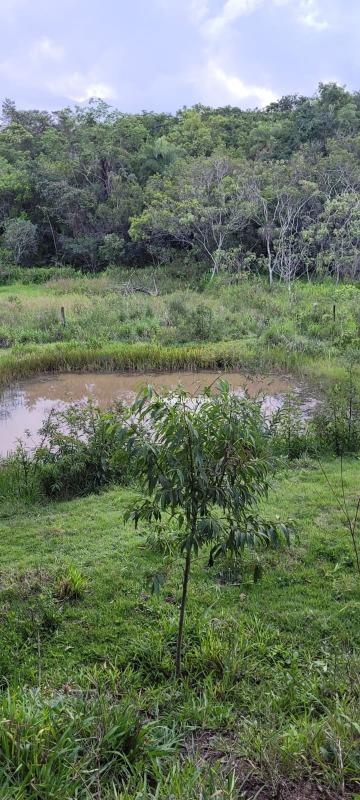 Chácara à venda no Campo Alegre: 