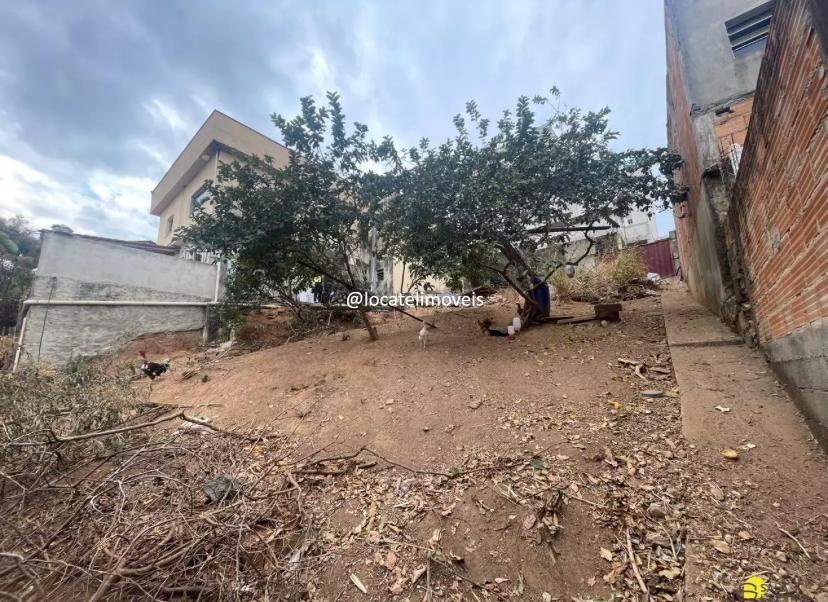 Lote à venda no Diamante: 