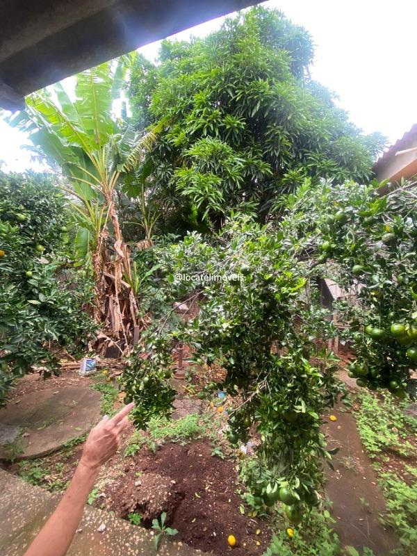 Lote à venda no Milionários: 