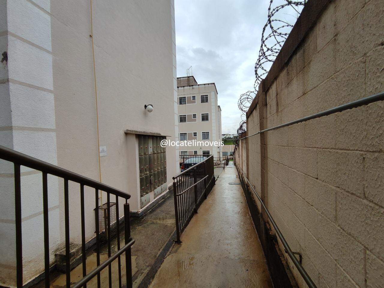 Apartamento para aluguel no Laranjeiras: 