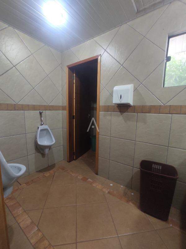 Sala Comercial para para aluguel no Bairro CENTRO em TOLEDO: 